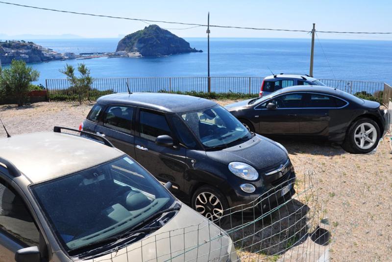 Villa Myremi Forio di Ischia Dış mekan fotoğraf